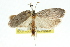  ( - 11ANIC-11296)  @12 [ ] CreativeCommons - Attribution (2011) ANIC/CBG Photography Group Centre for Biodiversity Genomics