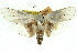  ( - 11ANIC-11551)  @11 [ ] CreativeCommons - Attribution (2011) ANIC/CBG Photography Group Centre for Biodiversity Genomics