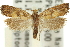  ( - 11ANIC-11679)  @11 [ ] CreativeCommons - Attribution (2011) ANIC/CBG Photography Group Centre for Biodiversity Genomics