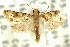  ( - 11ANIC-11914)  @14 [ ] CreativeCommons - Attribution (2011) ANIC/CBG Photography Group Centre for Biodiversity Genomics