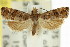  ( - 11ANIC-11925)  @12 [ ] CreativeCommons - Attribution (2011) ANIC/CBG Photography Group Centre for Biodiversity Genomics