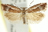  ( - 11ANIC-12189)  @11 [ ] CreativeCommons - Attribution (2011) ANIC/CBG Photography Group Centre for Biodiversity Genomics