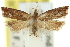  ( - 11ANIC-12237)  @11 [ ] CreativeCommons - Attribution (2011) ANIC/CBG Photography Group Centre for Biodiversity Genomics
