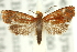  ( - 11ANIC-12302)  @11 [ ] CreativeCommons - Attribution (2011) ANIC/CBG Photography Group Centre for Biodiversity Genomics