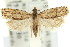  ( - 11ANIC-12320)  @15 [ ] CreativeCommons - Attribution (2011) ANIC/CBG Photography Group Centre for Biodiversity Genomics
