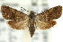  ( - 11ANIC-12330)  @11 [ ] CreativeCommons - Attribution (2011) ANIC/CBG Photography Group Centre for Biodiversity Genomics