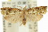  ( - 11ANIC-12779)  @13 [ ] CreativeCommons - Attribution (2011) ANIC/CBG Photography Group Centre for Biodiversity Genomics