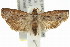  ( - 11ANIC-12792)  @13 [ ] CreativeCommons - Attribution (2011) ANIC/CBG Photography Group Centre for Biodiversity Genomics