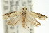  ( - 11ANIC-12794)  @14 [ ] CreativeCommons - Attribution (2011) ANIC/CBG Photography Group Centre for Biodiversity Genomics