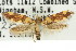  ( - 11ANIC-13115)  @11 [ ] CreativeCommons - Attribution (2011) ANIC/CBG Photography Group Centre for Biodiversity Genomics