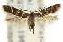  ( - 11ANIC-13231)  @14 [ ] CreativeCommons - Attribution (2011) ANIC/CBG Photography Group Centre for Biodiversity Genomics