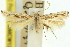  ( - 11ANIC-13326)  @11 [ ] CreativeCommons - Attribution (2011) ANIC/CBG Photography Group Centre for Biodiversity Genomics