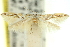  ( - 11ANIC-13330)  @11 [ ] CreativeCommons - Attribution (2011) ANIC/CBG Photography Group Centre for Biodiversity Genomics