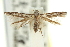  ( - 11ANIC-13480)  @11 [ ] CreativeCommons - Attribution (2011) ANIC/CBG Photography Group Centre for Biodiversity Genomics