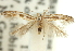  ( - 11ANIC-13514)  @11 [ ] CreativeCommons - Attribution (2011) ANIC/CBG Photography Group Centre for Biodiversity Genomics