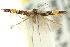  ( - 11ANIC-13533)  @11 [ ] CreativeCommons - Attribution (2011) ANIC/CBG Photography Group Centre for Biodiversity Genomics