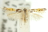  ( - 11ANIC-13539)  @11 [ ] CreativeCommons - Attribution (2011) ANIC/CBG Photography Group Centre for Biodiversity Genomics