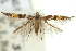  ( - 11ANIC-13541)  @11 [ ] CreativeCommons - Attribution (2011) ANIC/CBG Photography Group Centre for Biodiversity Genomics