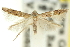  ( - 11ANIC-13544)  @11 [ ] CreativeCommons - Attribution (2011) ANIC/CBG Photography Group Centre for Biodiversity Genomics