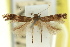  ( - 11ANIC-13744)  @11 [ ] CreativeCommons - Attribution (2011) ANIC/CBG Photography Group Centre for Biodiversity Genomics