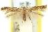  ( - 11ANIC-13801)  @11 [ ] CreativeCommons - Attribution (2011) ANIC/CBG Photography Group Centre for Biodiversity Genomics
