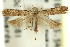  ( - 11ANIC-14024)  @14 [ ] CreativeCommons - Attribution (2011) ANIC/CBG Photography Group Centre for Biodiversity Genomics