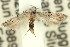  ( - 11ANIC-14027)  @11 [ ] CreativeCommons - Attribution (2011) ANIC/CBG Photography Group Centre for Biodiversity Genomics