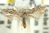  ( - 11ANIC-14033)  @11 [ ] CreativeCommons - Attribution (2011) ANIC/CBG Photography Group Centre for Biodiversity Genomics