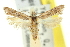  ( - 11ANIC-14049)  @11 [ ] CreativeCommons - Attribution (2011) ANIC/CBG Photography Group Centre for Biodiversity Genomics