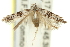  ( - 11ANIC-14064)  @13 [ ] CreativeCommons - Attribution (2011) ANIC/CBG Photography Group Centre for Biodiversity Genomics