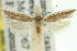  ( - 11ANIC-14444)  @13 [ ] CreativeCommons - Attribution (2011) ANIC/CBG Photography Group Centre for Biodiversity Genomics