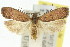  ( - 11ANIC-14661)  @15 [ ] CreativeCommons - Attribution (2011) ANIC/CBG Photography Group Centre for Biodiversity Genomics