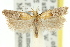  ( - 11ANIC-14970)  @11 [ ] CreativeCommons - Attribution (2011) ANIC/CBG Photography Group Centre for Biodiversity Genomics