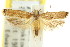  ( - 11ANIC-15072)  @13 [ ] CreativeCommons - Attribution (2011) ANIC/CBG Photography Group Centre for Biodiversity Genomics
