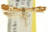  ( - 11ANIC-15077)  @11 [ ] CreativeCommons - Attribution (2011) ANIC/CBG Photography Group Centre for Biodiversity Genomics