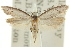  ( - 11ANIC-15100)  @11 [ ] CreativeCommons - Attribution (2011) ANIC/CBG Photography Group Centre for Biodiversity Genomics