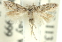  ( - 11ANIC-15321)  @14 [ ] CreativeCommons - Attribution (2011) ANIC/CBG Photography Group Centre for Biodiversity Genomics