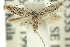  ( - 11ANIC-15322)  @15 [ ] CreativeCommons - Attribution (2011) ANIC/CBG Photography Group Centre for Biodiversity Genomics