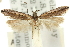  ( - 11ANIC-15360)  @14 [ ] CreativeCommons - Attribution (2011) ANIC/CBG Photography Group Centre for Biodiversity Genomics