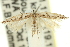  ( - 11ANIC-15427)  @11 [ ] CreativeCommons - Attribution (2011) ANIC/CBG Photography Group Centre for Biodiversity Genomics