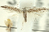  ( - 11ANIC-15653)  @12 [ ] CreativeCommons - Attribution (2011) ANIC/CBG Photography Group Centre for Biodiversity Genomics