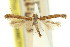  ( - 11ANIC-16125)  @11 [ ] CreativeCommons - Attribution (2011) ANIC/CBG Photography Group Centre for Biodiversity Genomics