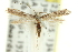  ( - 11ANIC-16165)  @11 [ ] CreativeCommons - Attribution (2011) ANIC/CBG Photography Group Centre for Biodiversity Genomics