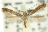  ( - 11ANIC-16192)  @11 [ ] CreativeCommons - Attribution (2011) ANIC/CBG Photography Group Centre for Biodiversity Genomics