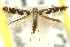  ( - 11ANIC-16262)  @11 [ ] CreativeCommons - Attribution (2011) ANIC/CBG Photography Group Centre for Biodiversity Genomics