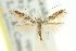  ( - 11ANIC-16288)  @11 [ ] CreativeCommons - Attribution (2011) ANIC/CBG Photography Group Centre for Biodiversity Genomics
