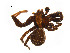  ( - BIOUG14298-H01)  @12 [ ] CreativeCommons - Attribution (2014) G. Blagoev Centre for Biodiversity Genomics