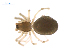  ( - BIOUG47279-G12)  @11 [ ] CreativeCommons - Attribution (2019) G. Blagoev Centre for Biodiversity Genomics