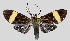  ( - MBe0102)  @11 [ ] © (2019) Unspecified Forest Zoology and Entomology (FZE) University of Freiburg