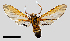  ( - MBe0247)  @11 [ ] © (2019) Unspecified Forest Zoology and Entomology (FZE) University of Freiburg